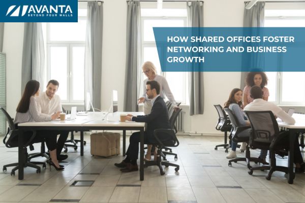 How Shared Offices Foster Networking and Business Growth