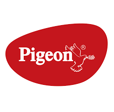 Gouichi Koizumi | Representative Pigeon India Pvt. Ltd.