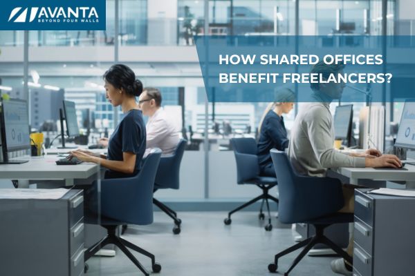 Shared Offices Benefit Freelancers