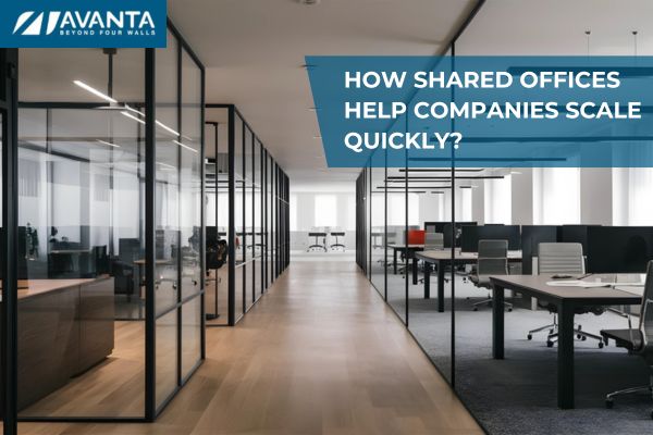 Shared Offices Help Companies