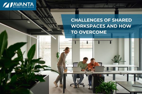 Challenges of Shared Workspaces and How to Overcome