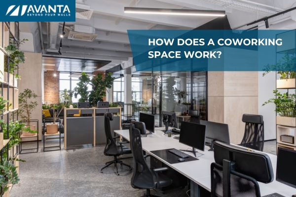 How does a coworking space work?